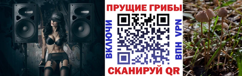 Галлюциногенные грибы Cubensis  Шлиссельбург 